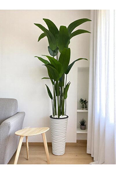 Fupe Shop Yapay Ağaç Starliçe Gerçek Doku 190 Cm Uzun Saksı