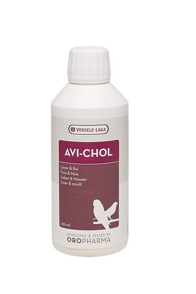 Versele Laga Avi-Chol Liver Support Supplement for Birds, 250ml, Metabolism Booster