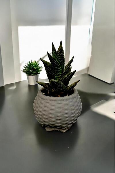 MF Botanik Antrasit hasır model beton kaktüs ve sukulent saksı 0,15