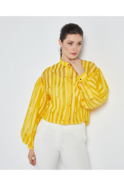 SERPİL Kadın Çizgili Gömlek- Kendinden Desenli Transparan - Modern ve Şık