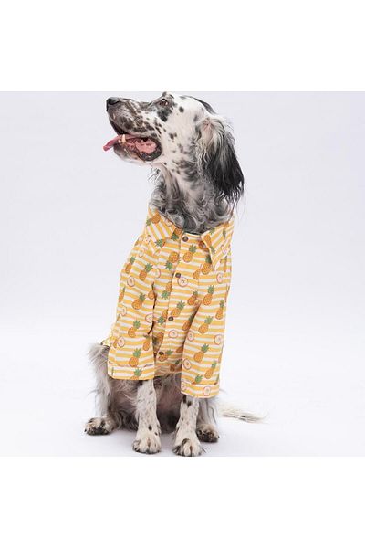 Pawstar Panama Medium and Large Breed Dog Shirt - Dog Clothing (15 Kg-45 kg)