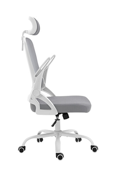 AnneFish Ergonomic Mesh Office Chair Adjustable Lumbar Executive Swivel Computer Chair with Flip-up Armrests