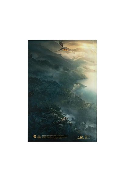 Harry Potter Carnet Hogwarts Legacy - Harry Potter, 21x15 cm