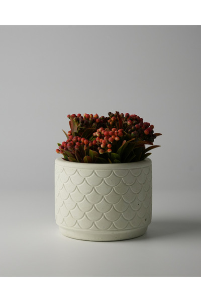 Kaju Creative Dekoratif Beton Saksı - Balık Pulu 8x10 0.25L Küçük Boy Saksı