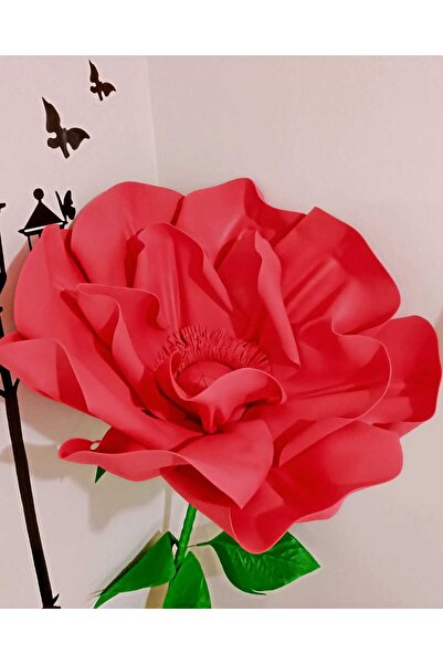 Rose bloome Dev eva anemon buketi 3 lü set