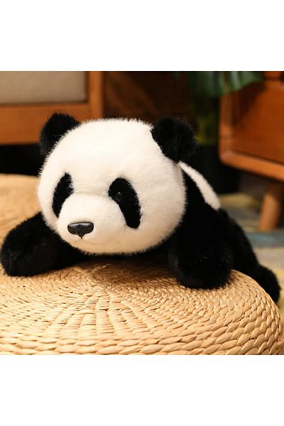 Choice about 65cm panda Kawaii Comfort Soft Animal Plush Throw Pillow Polar Bear Brown Bear Panda Lying On