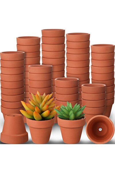 Choice 80 قطعة صغيرة من أصيص الطين الخزفي الصغير مقاس 1.3 بوصة، أصيص زهور الصبار