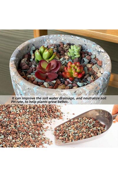 Choice 800g MULTI Mix Horticultural Lava Rock Pebbles Pumice Potting Soil Amendment Succulent Cactus Bonsai