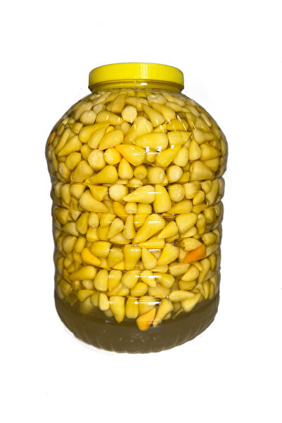 şensan ŞENSAN BİBERİYE BİBER TURŞU 10 LT PET (SÜZME 5 KG)