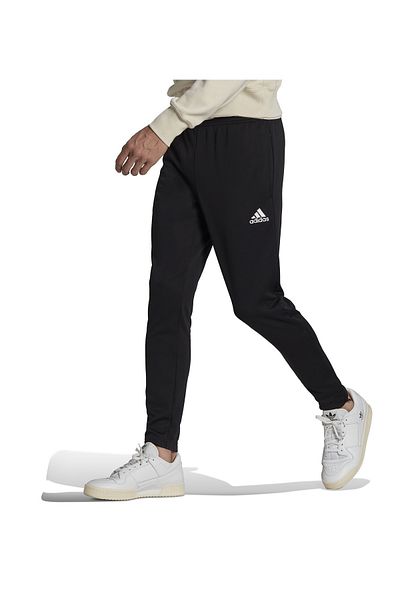 adidas Ent22 Tr Pnt بنطال رياضي للتدريب على كرة القدم للرجال باللون الأسود