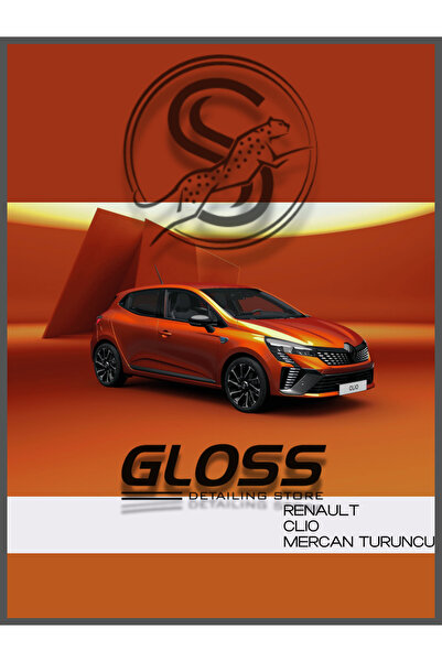 Gloss Detailing Renault Clio Uyumlu Mercan Turuncu EQB  - Profesyonel Rötuş B...