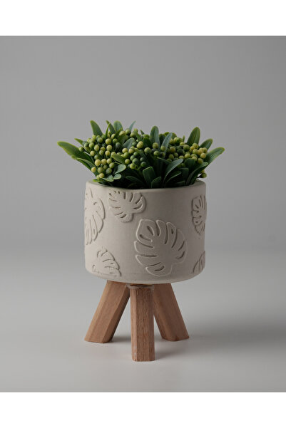 Kaju Creative Dekoratif Beton Saksı -Monstera 7,5x12 0.25L Küçük Ahşap Ayaklı...