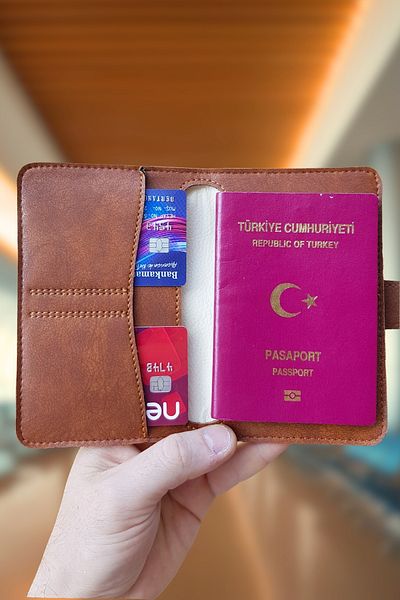 Vardo Esther Ethnic Pattern Design Wallet & Passport Cover with Business Card Holder Unisex