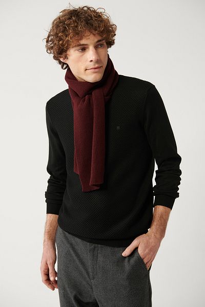Avva Men's Black Crew Neck Cotton Knitwear Sweater E 005105