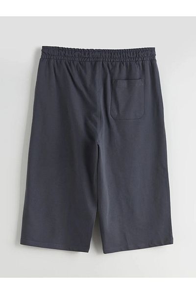 LC Waikiki Lcwaikiki Classic Gray Standard Mold Waist Tie Detailed Men's Shorts