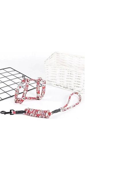 AC BOX Cat Walking Harness