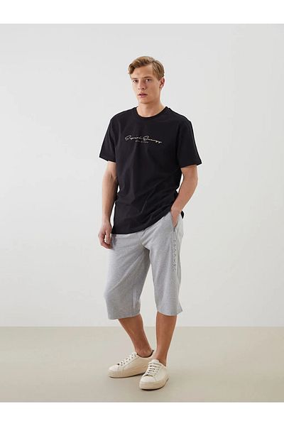 LC Waikiki Lcwaikiki Classic Gray Standard Fit Men's Shorts