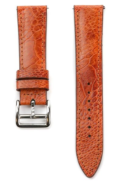 Onywatch 18 mm Leather Watch Band Real Ostrich Skin 18 mm Leather Band 18 mm Watch Strap