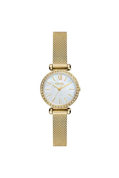 Fossil Fbq3898 Women's Wristwatch