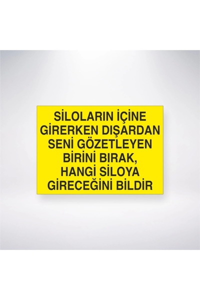 Reysa Tasarım اترك شخصًا يراقبك من الخارج بينما تدخل إلى السيلو، قل إلى أي سي...