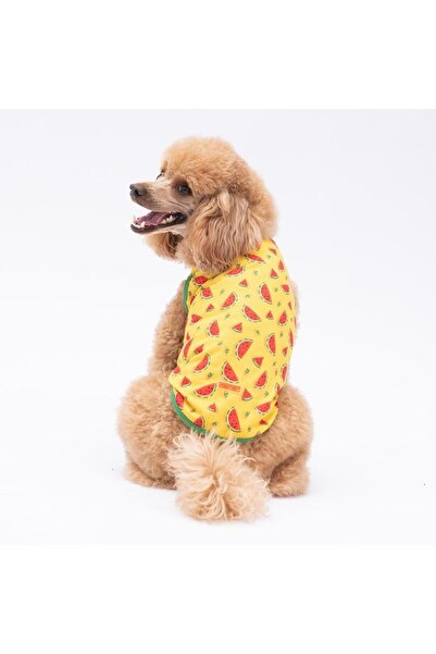 Pawstar WaterMelon Kedi Köpek Tişörtü - Kedi Köpek Kıyafeti