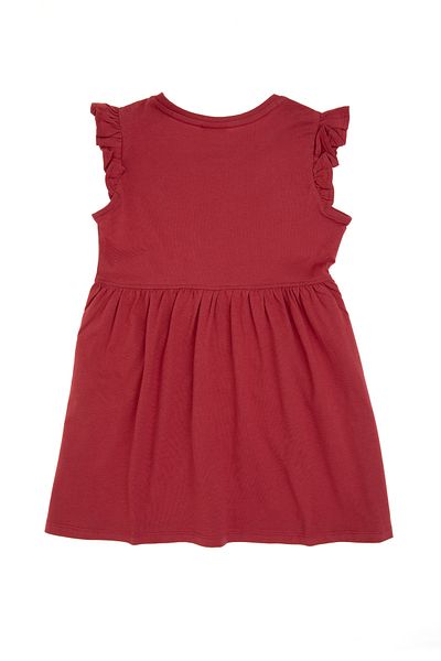U.S. Polo Assn. Girl's Cherry Knitted Dress 50306281-Vr223