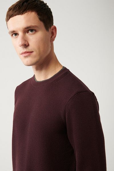 Avva Men's Burgundy Double Collared Textured Knitwear Sweater A32Y5100