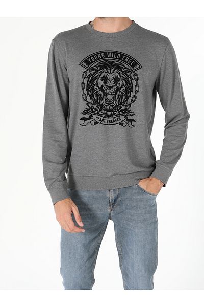 Colin's Regular Fit Men's Anthracite Sweatshirt