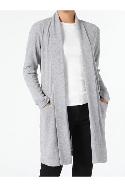 Colin's Jachetă gri pentru femei Regular Fit Cl 1055288