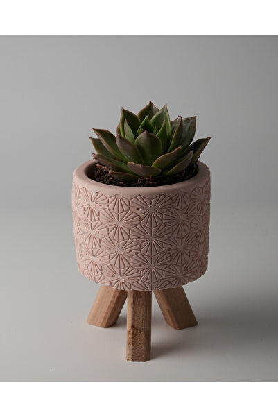 Kaju Creative Dekoratif Beton Saksı - Karo Çizgi - Ahşap Ayaklı