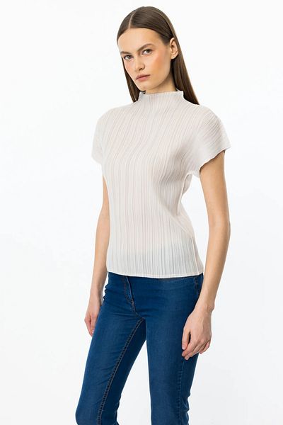 Ekol Accordion Fabric Stand Collar Blouse