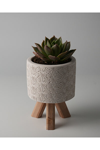 Kaju Creative Dekoratif Beton Saksı - Karo Çizgi - Ahşap Ayaklı