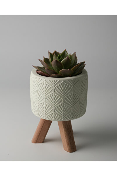 Kaju Creative Dekoratif Beton Saksı - Yaprak - Açık Yeşil