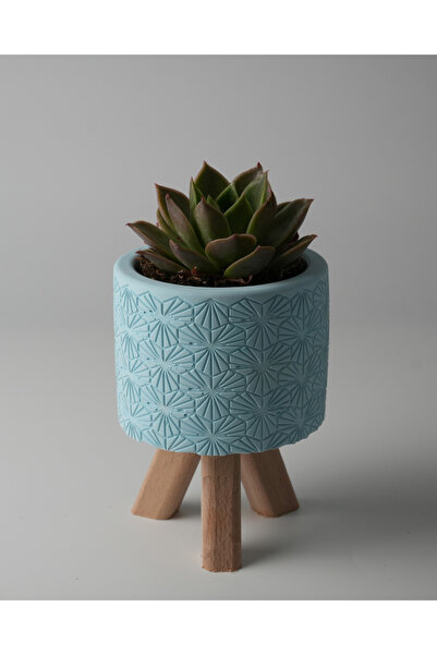Kaju Creative Dekoratif Beton Saksı - Karo Çizgi - Mavi