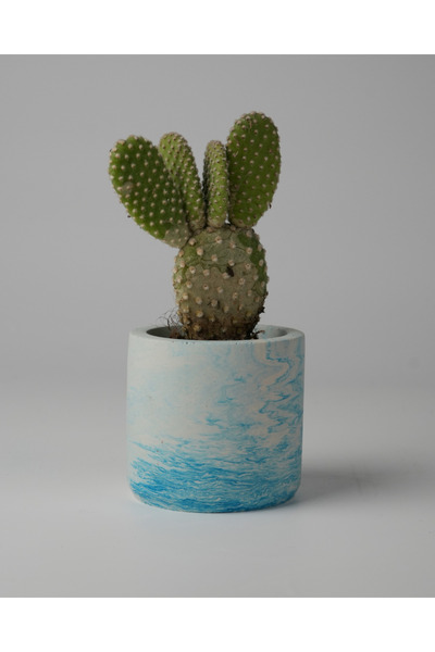 Kaju Creative Dekoratif Beton Saksı - Mini Sukulent - Kaktüs ve Sukulent Bitk...