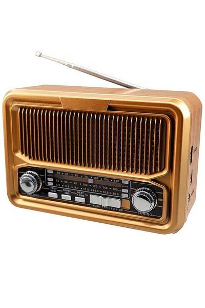 Denx راديو عالي الدقة، FM/AM/SW، مشغل USB/TF/BT، بطارية قابلة لإعادة الشحن DX2445