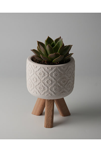 Kaju Creative Dekoratif Beton Saksı - Otantik Çiçek - Ahşap Ayaklı