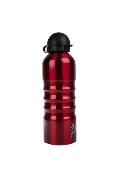 Biggdesign Cats Alüminyum Matara 700 ml