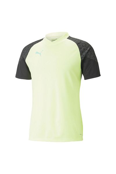 Puma 65828951 Individualcup Training Jersey Men's T-shirt