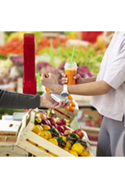 Garmin Fenix 5S Plus Quartz