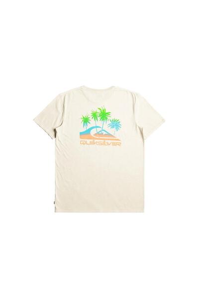 Quiksilver Eqyzt07252 Pastimeparadise m Tees Men's T-Shirt Cream