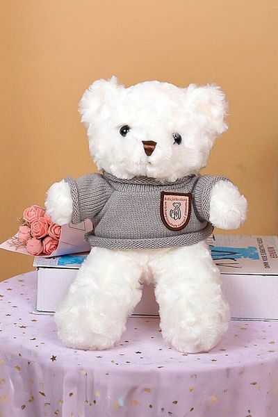 Chavin 30 cm White Gift Plush Toy Teddy Bear Bear-05