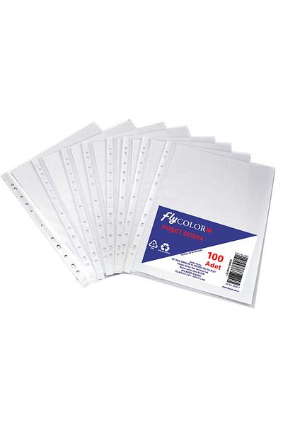 FLY COLOR 100 Pieces A4 Transparent File Foyer Bag File