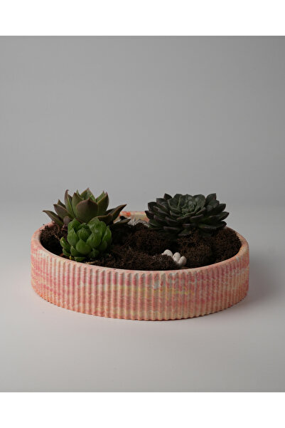 Kaju Creative Dekoratif Beton Çizgili Kase - Sukulent - Mini Kaktüs - Bonsai - Aranjman Kasesi - Büyük/Küçük