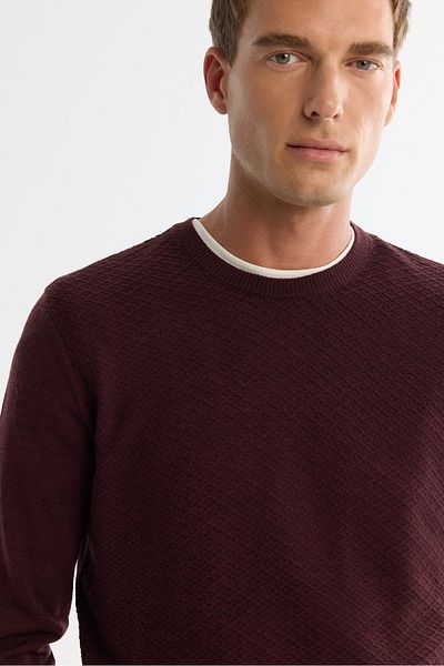 Avva Men's Burgundy Crew Neck Textured Knitwear Sweater E 005109