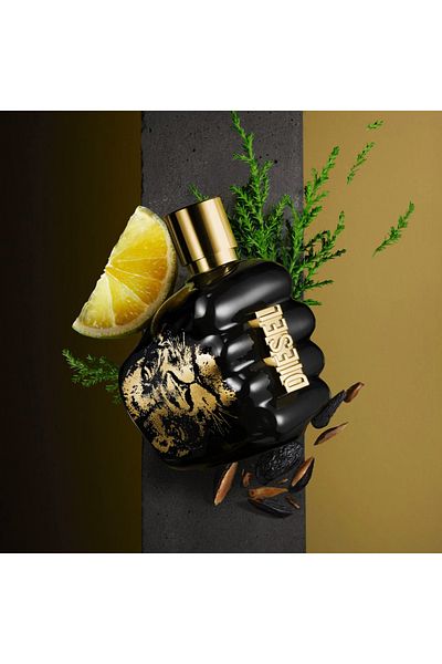 Diesel Diesel, Spirit Of The Brave, Eau De Toilette, For Men, 75 ml