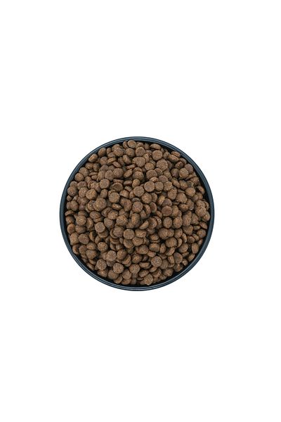 Premil Junior Hrana Uscata Premium Pentru Catei De Talie Mare, 15kg