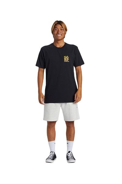 Quiksilver Aqyzt09542 Surf Moe Men's T-Shirt