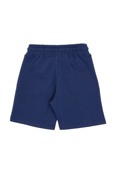 U.S. Polo Assn. Boy's Light Navy Blue Knitted Shorts 50301138-Vr059