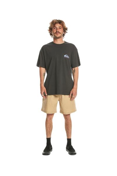 Quiksilver Eqyzt07654 Take Us Back Logo Ss Men's T-Shirt Anthracite